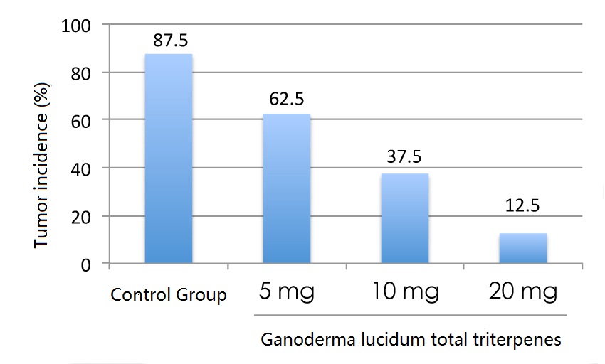 Ganoderma lucidum triterpenes help reduce the cancer risk-3