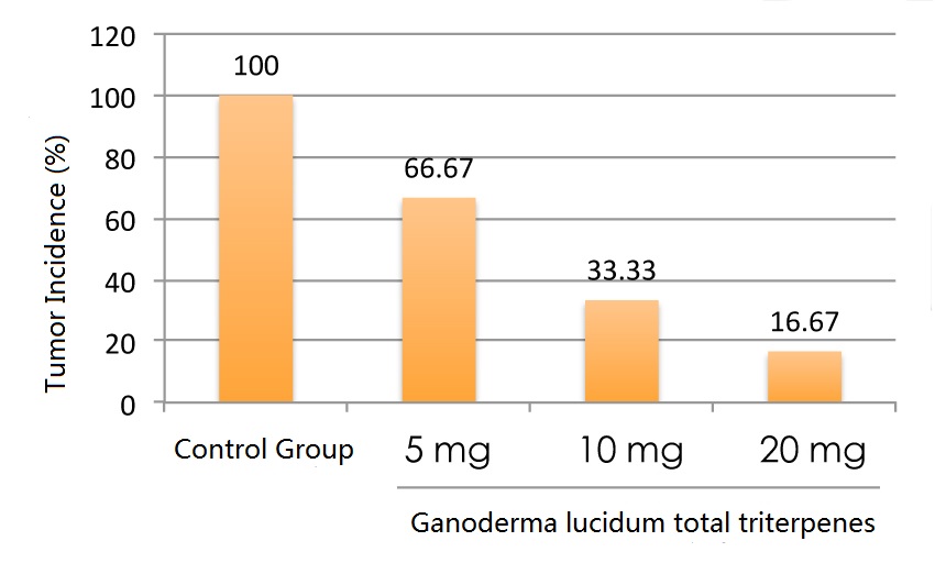 Ganoderma lucidum triterpenes help reduce the cancer risk-6