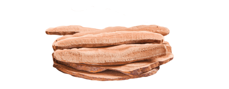 Recommended Reishi recipes for summer (7)