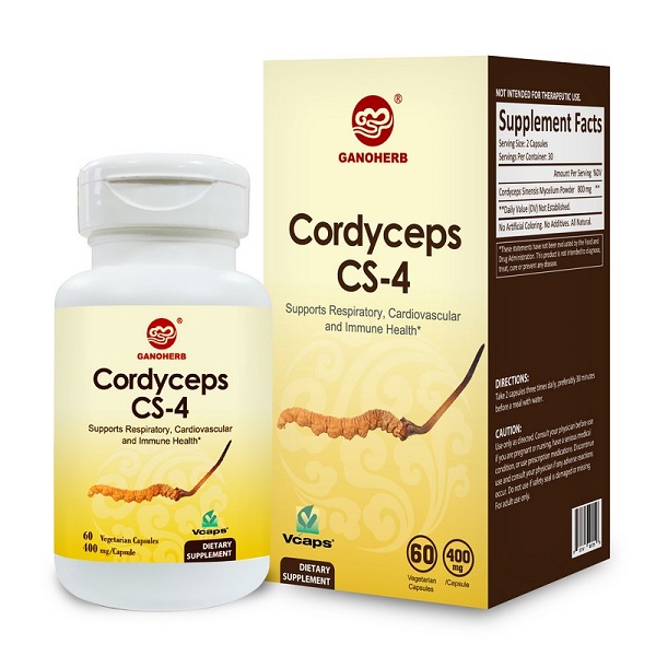 cordyceps capsule (4)