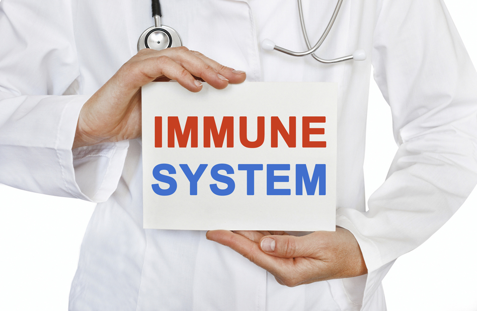 Tessera del sistema immunitario nelle mani del medico