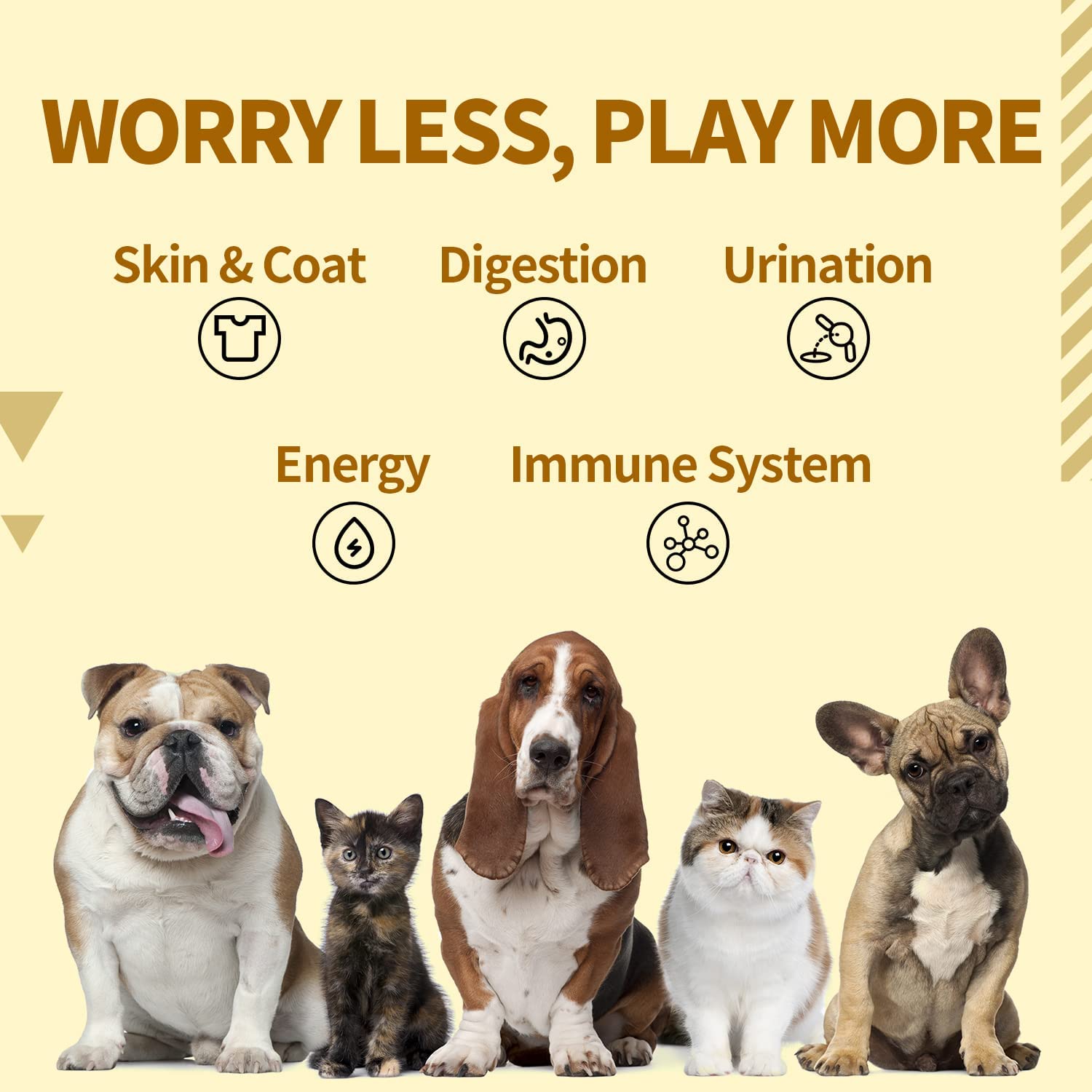 Mushroom Powder Immune For Pets (3)