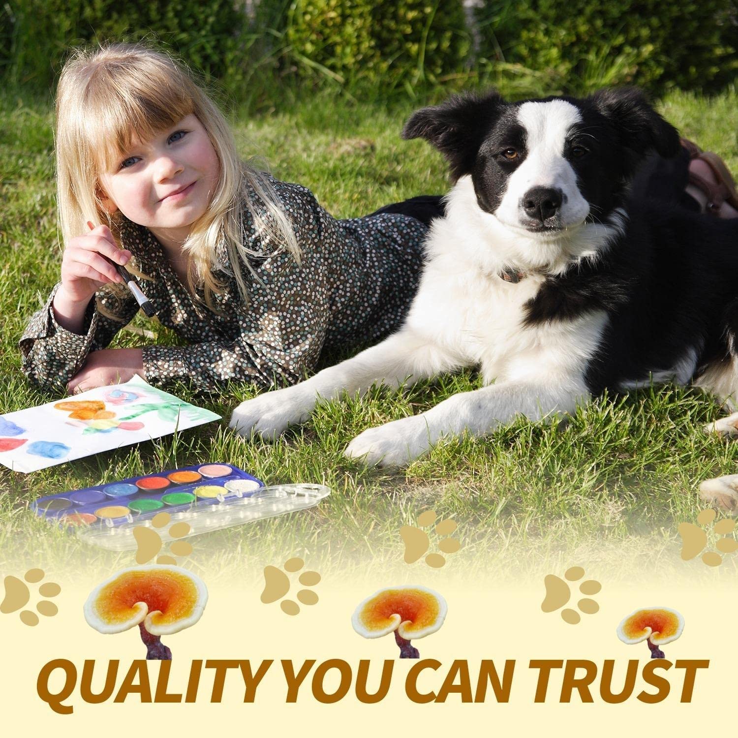 Mushroom Powder Immune For Pets (6)
