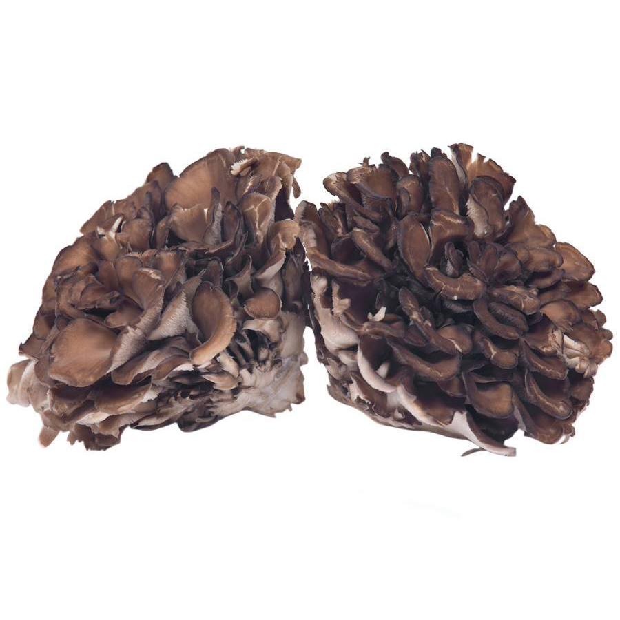 Maitake Powder (5)