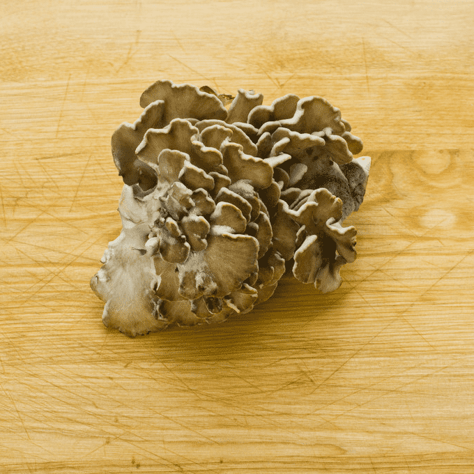 Maitake Powder (4)
