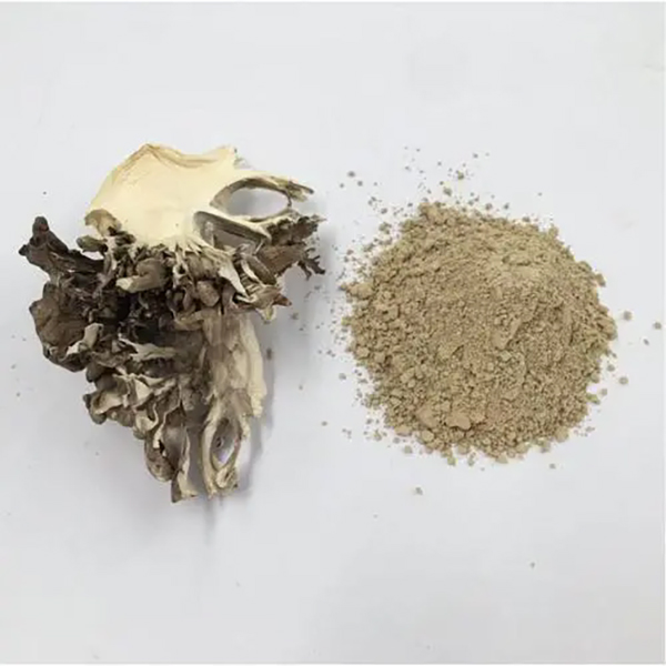 Maitake Powder (3)