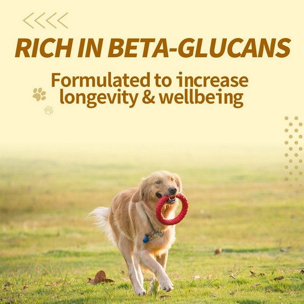 Reishi Mushroom Powder Supplement For Dogs And Cats (6)