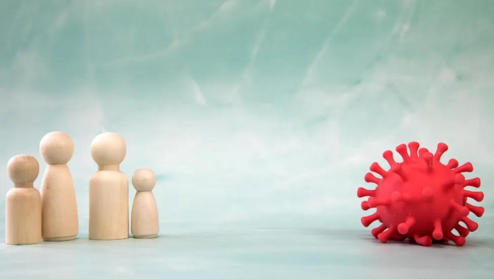 Influenza virus