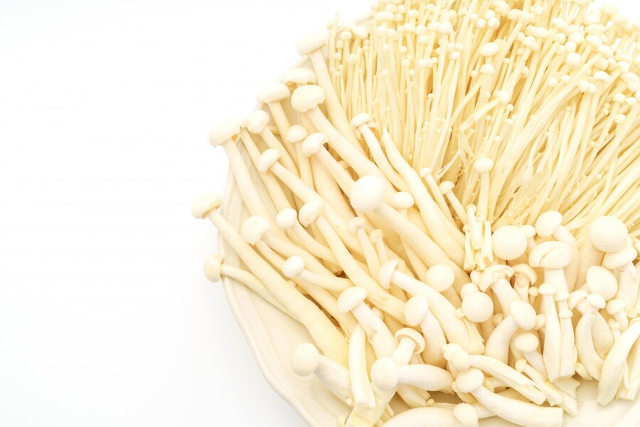 China reishi mushroom extract factory
