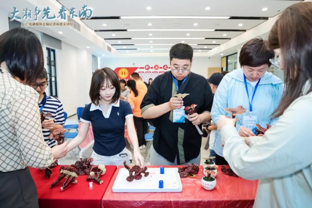 DIY Reishi bonsai making