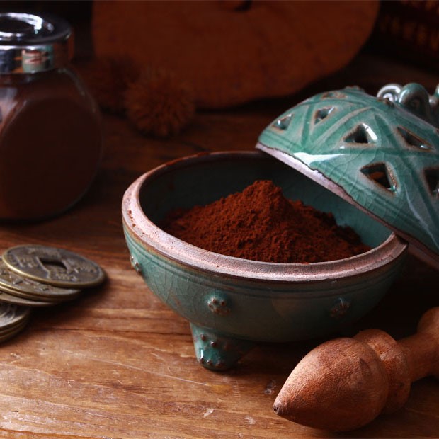 Ganoderma lucidum mushroom