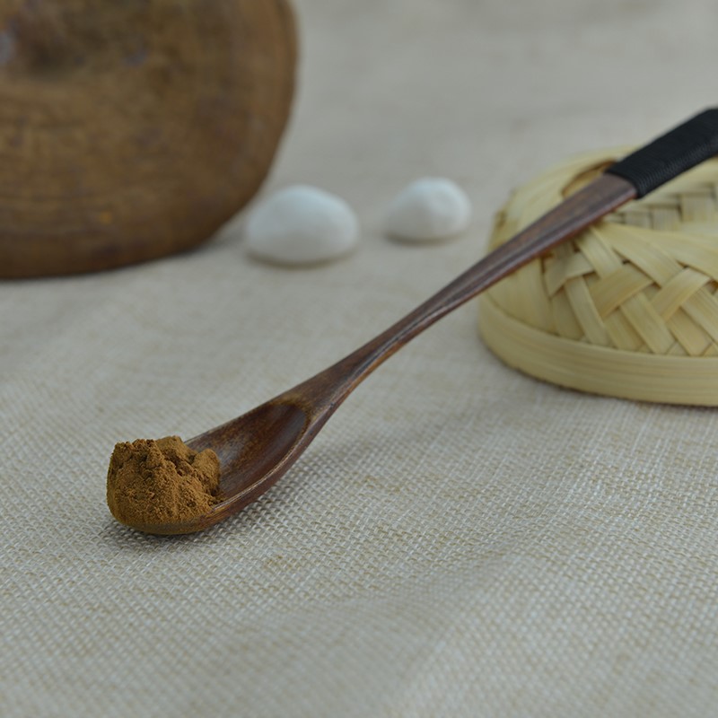 Производители экстрактов грибов Reishi