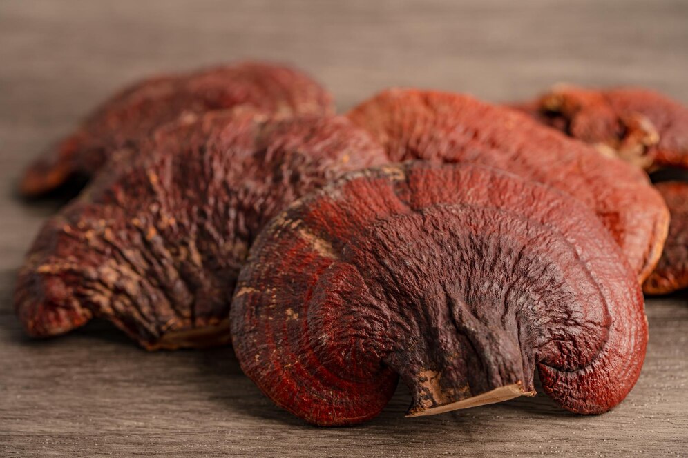 Vitafair premium reishi