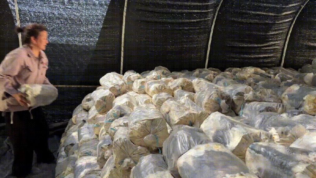 bags of bed-logs