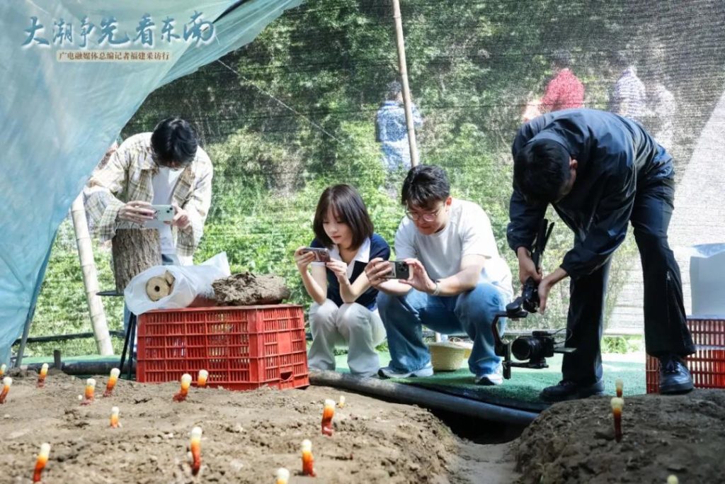 non-ground-touching spore powder collection technology