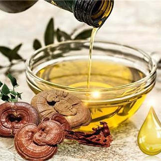 Reishi Mushroom Spore Oil Suppliers