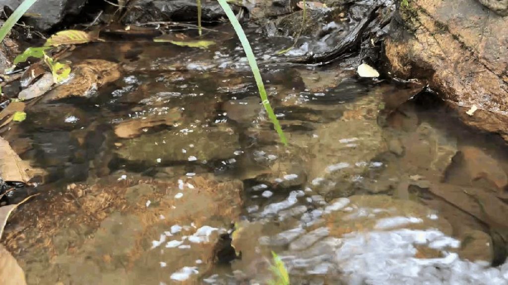 soil, air, and water are all unpolluted (2)