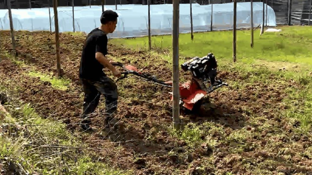 turning the soil