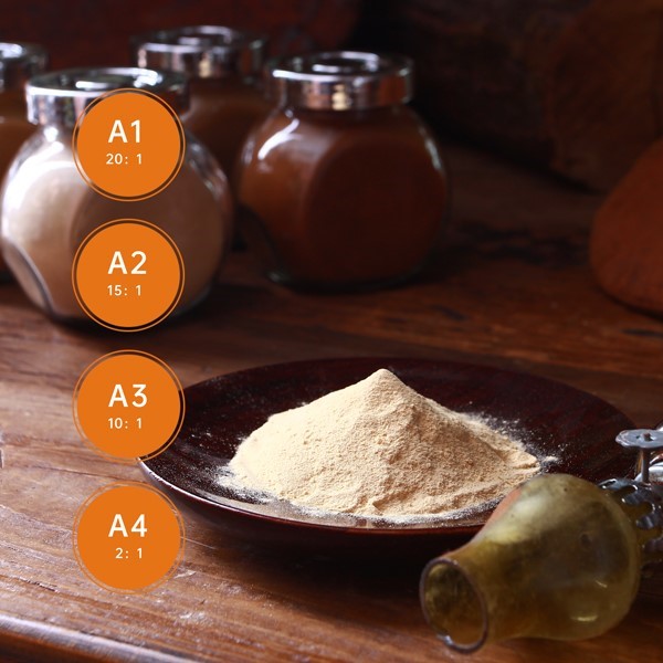 wholesale organic mushroom supplier