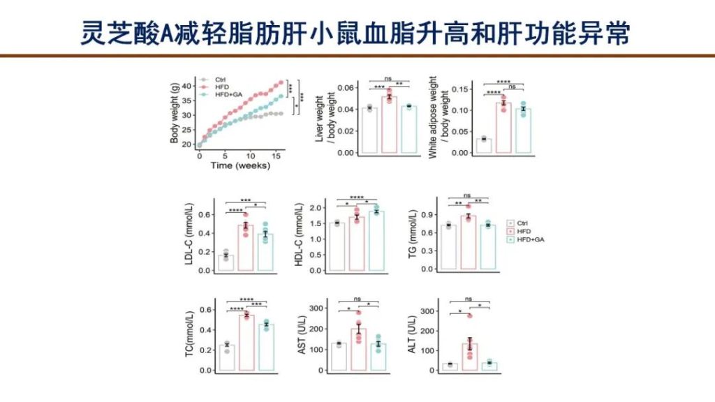 Ganoderic Acid A significantly reduced hepatic fat accumulation