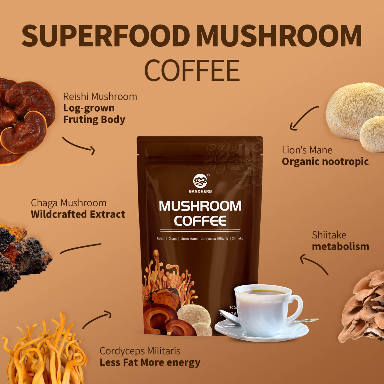 Organic Mushroom Coffee Powder (2)