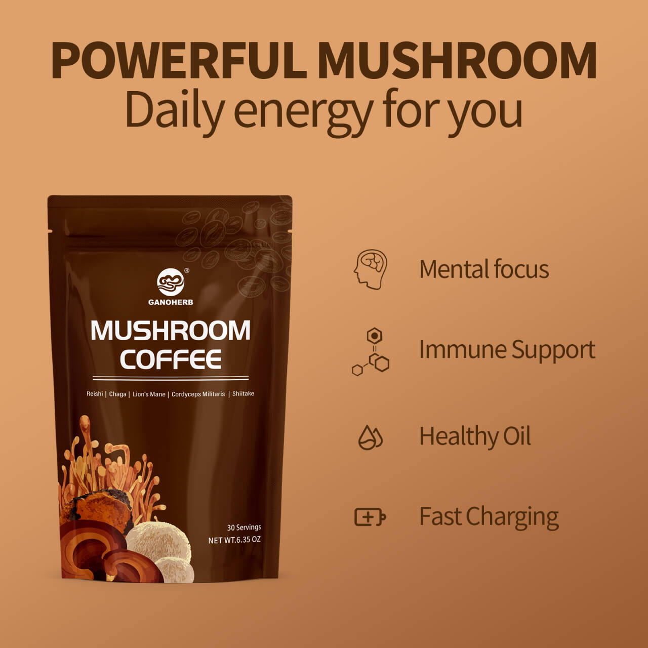 Organic Mushroom Coffee Powder (3)