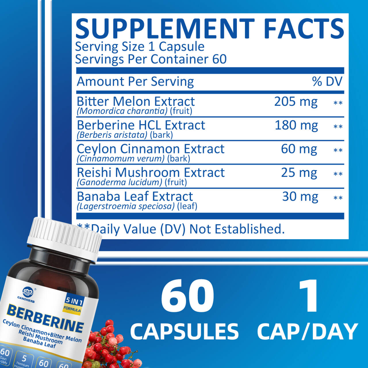 Premium Berberine HCl Complex Capsules (2)