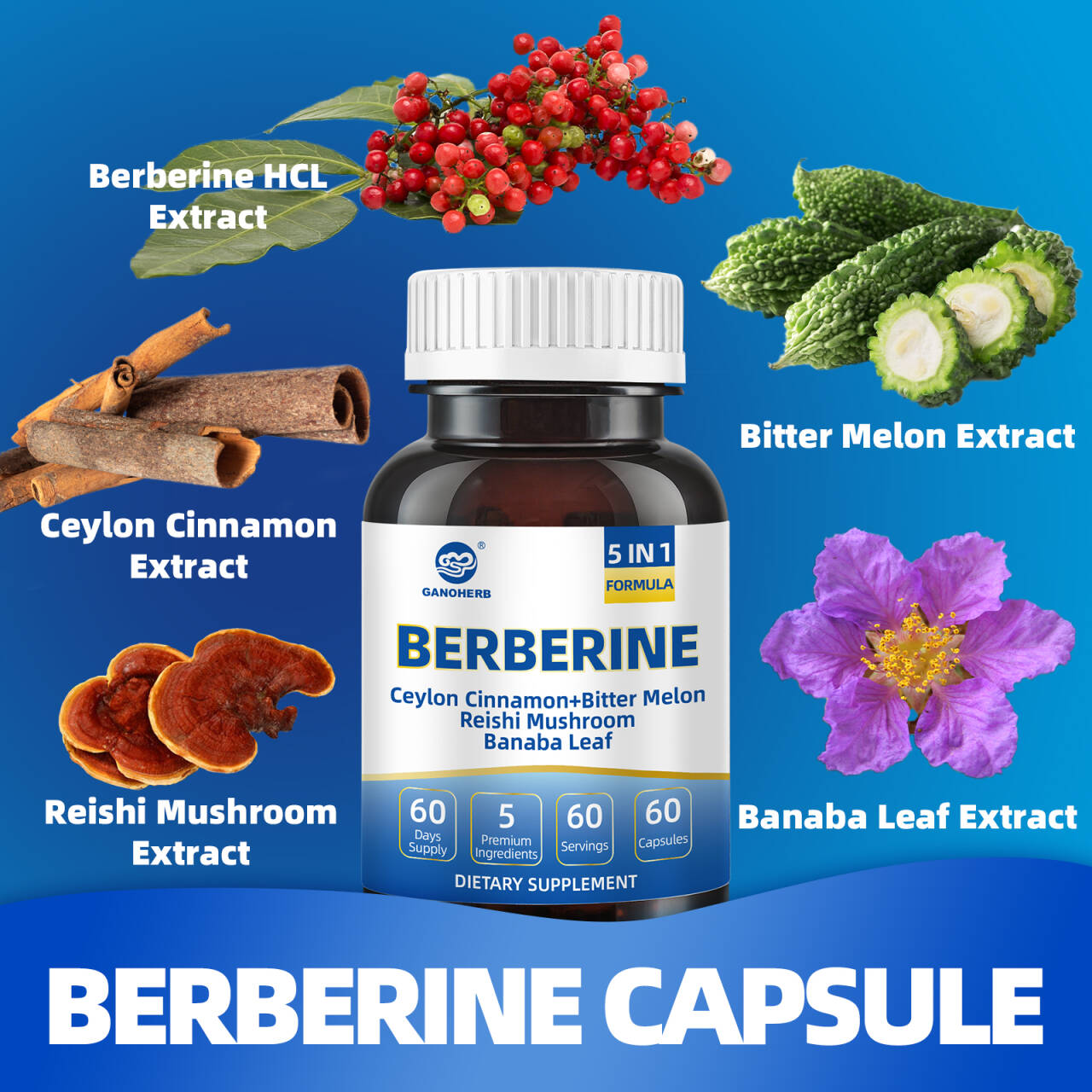Premium Berberine HCl Complex Capsules (3)