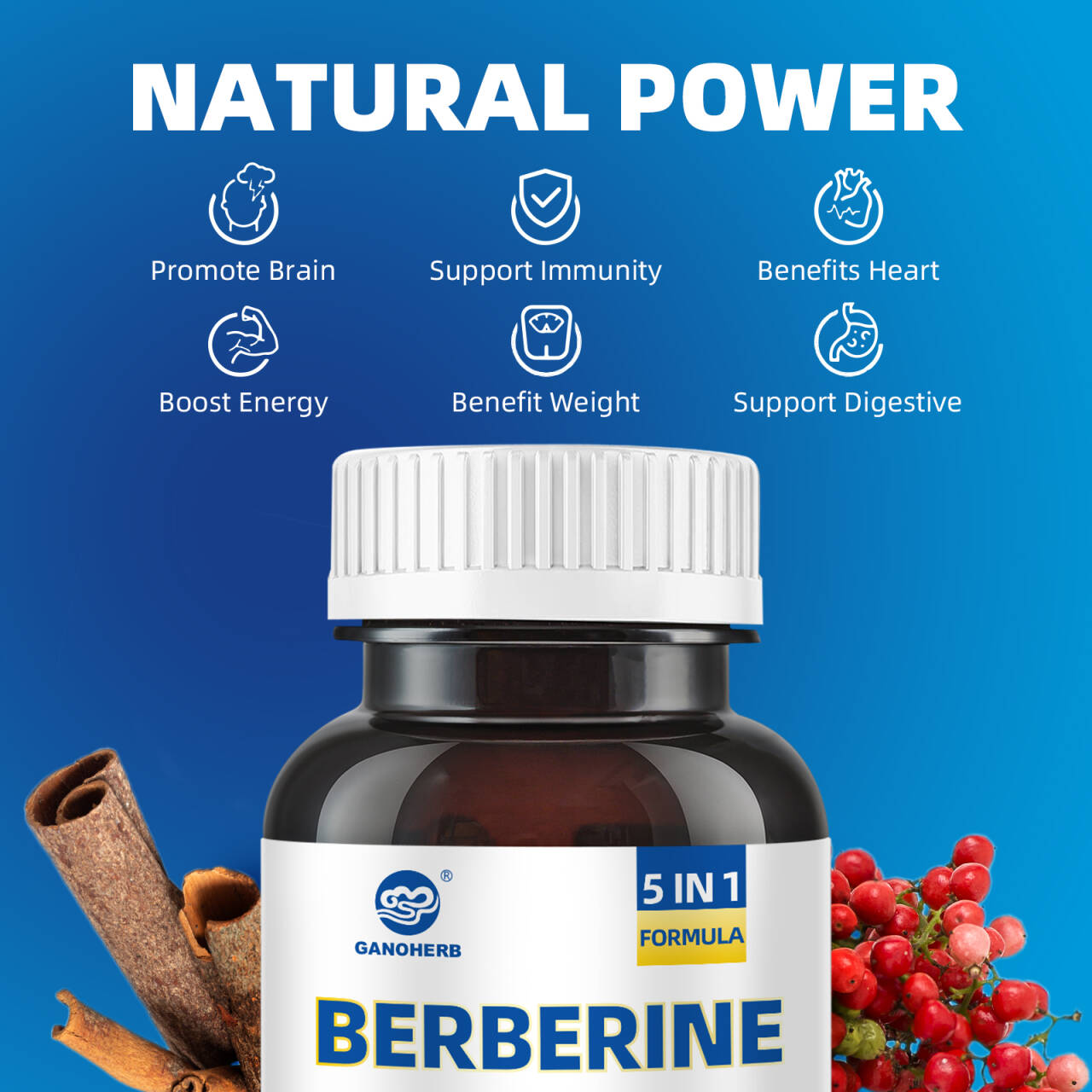 Premium Berberine HCl Complex Capsules (4)