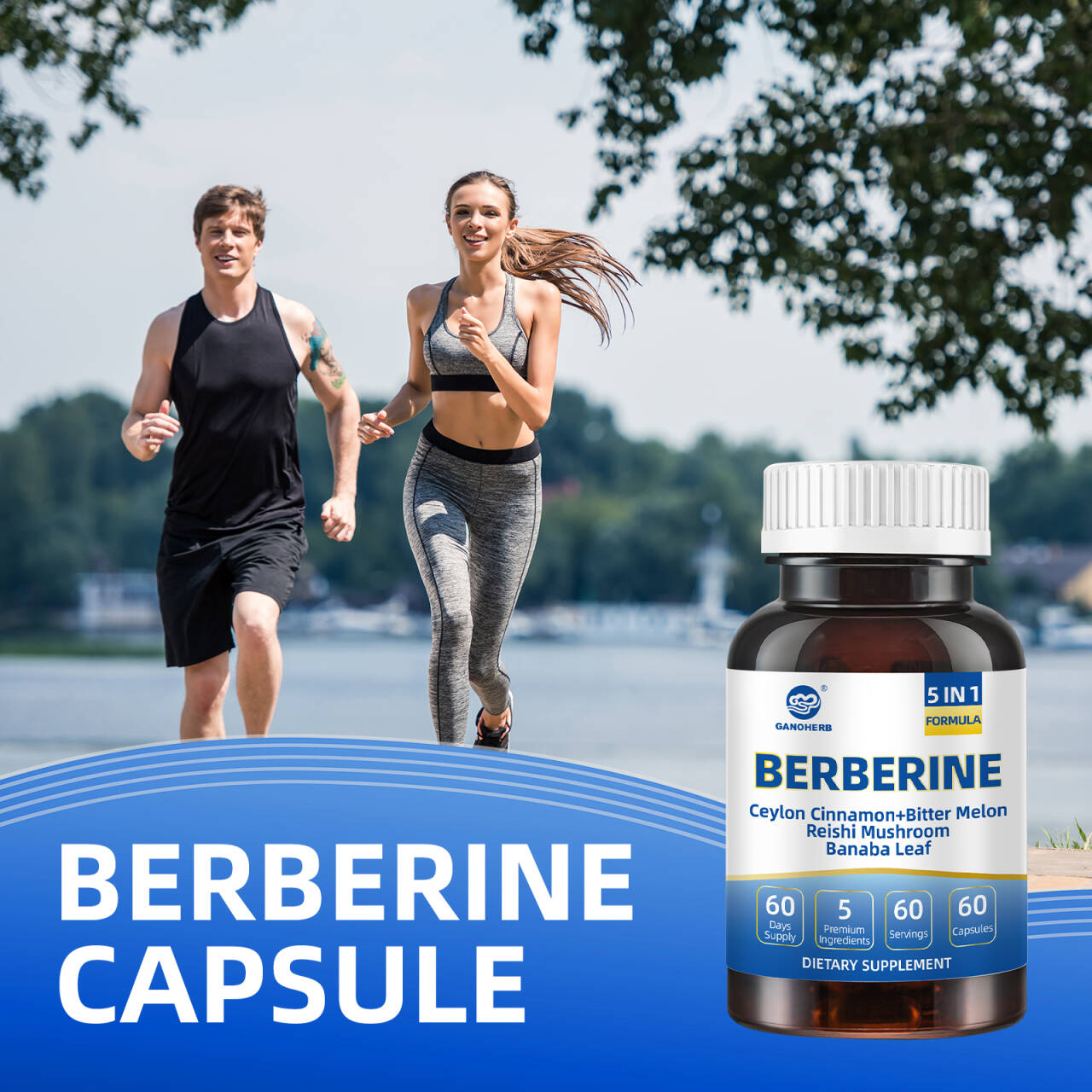 Premium Berberine HCl Complex Capsules (6)