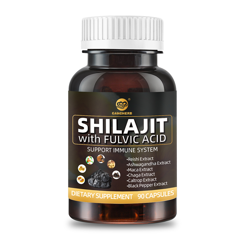 Premium Shilajit Capsules (2)