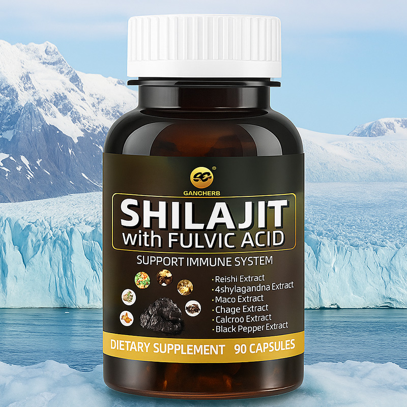 Premium Shilajit Capsules (3)