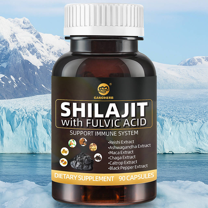 Premium Shilajit Capsules OEM Supplier (2)