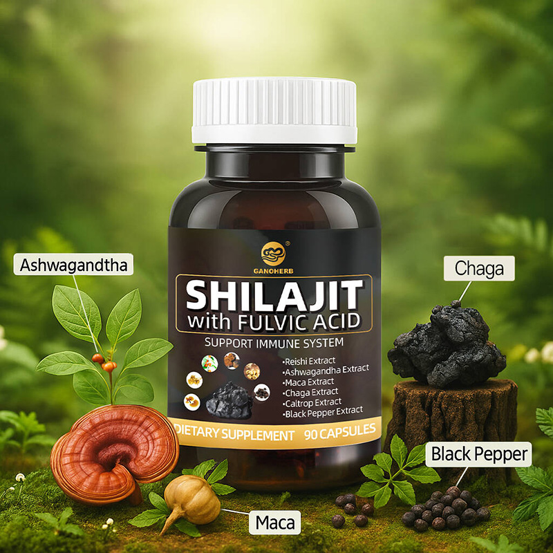 Premium Shilajit Capsules OEM Supplier (3)