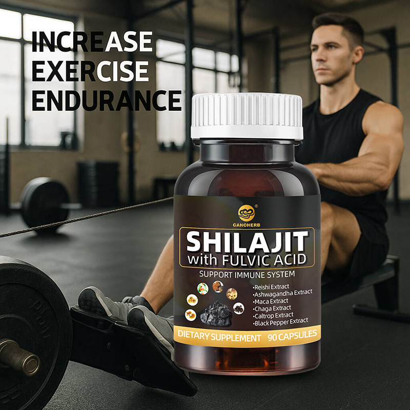 Premium Shilajit Capsules OEM Supplier
