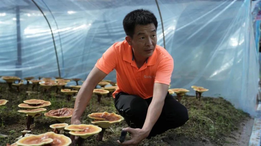 Staff members provided detailed explanations of the organic cultivation process