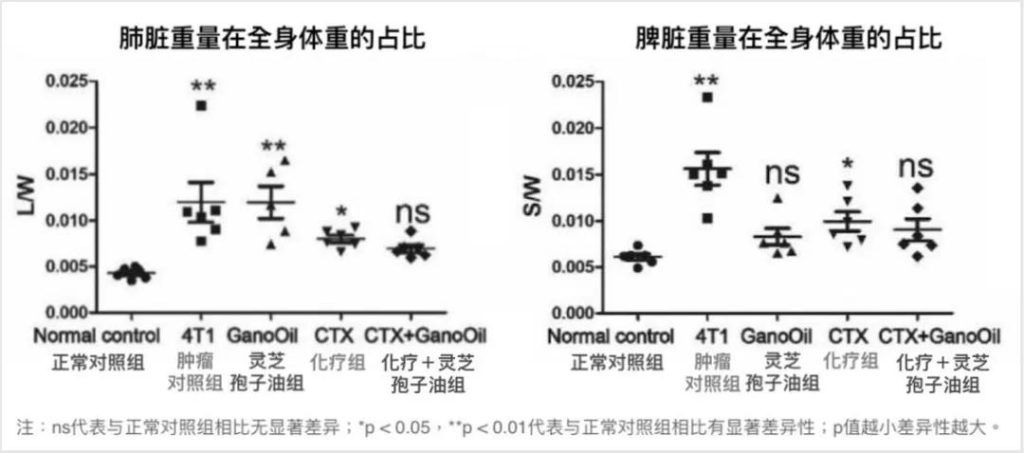 While combined use of Ganoderma lucidum spore oil and chemotherapy