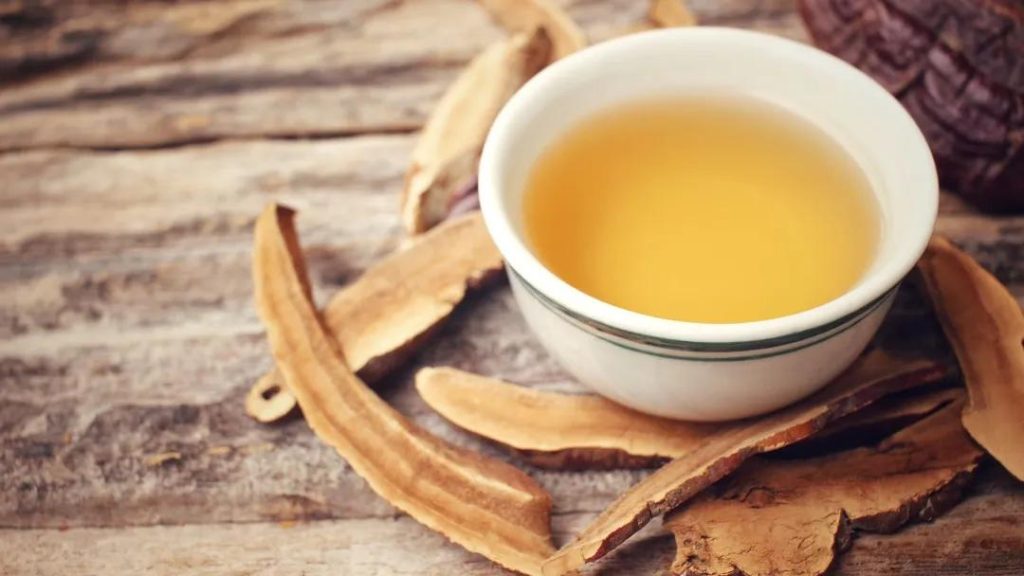 brewing a cup of Reishi tea