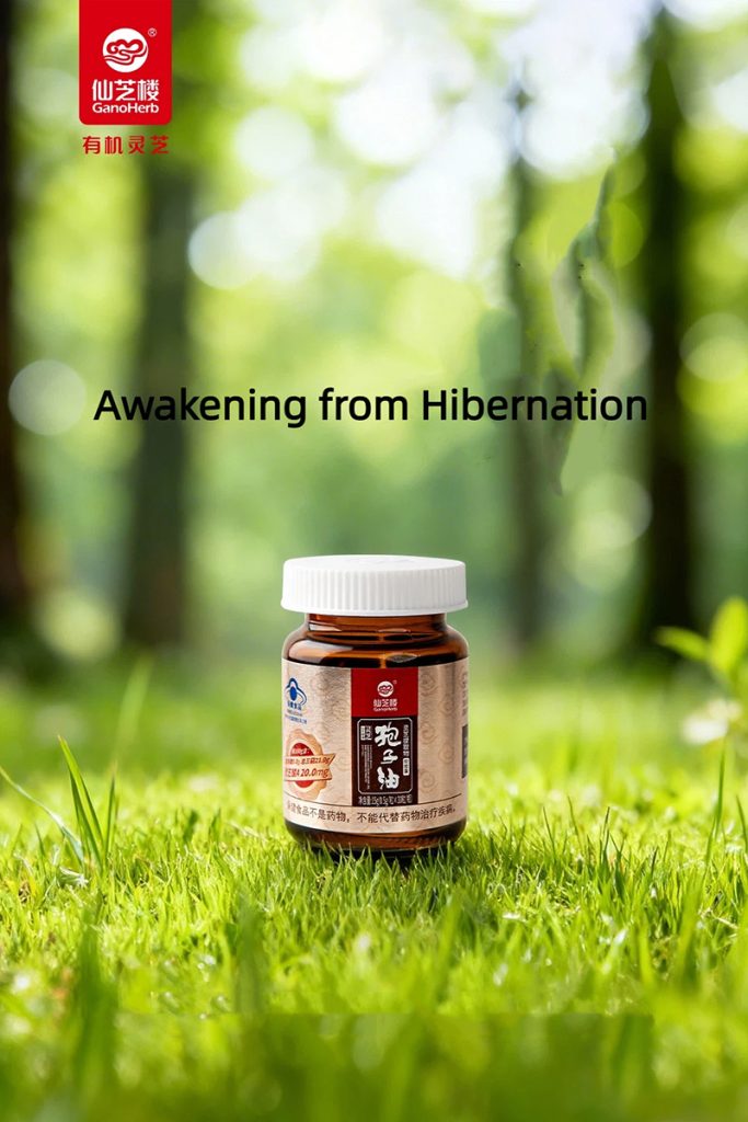 Se réveiller de l'hibernation