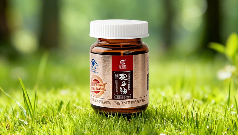 冬眠からの目覚め(2)