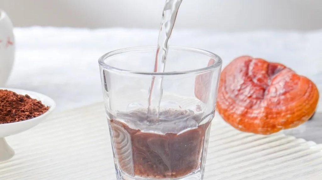 Infuse Ganoderma lucidum spore powder