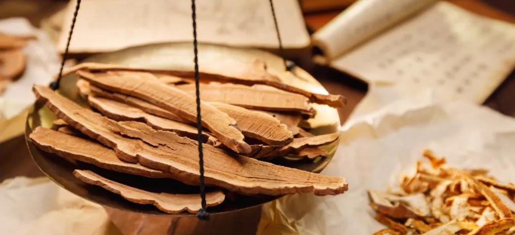 The Ganoderma lucidum is placed on the table