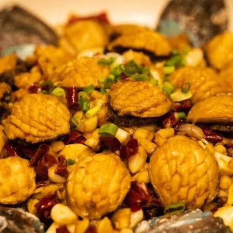 Bringing Reishi into Everyday Meals-2-1