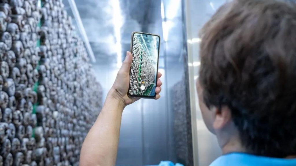 Discovering the Reishi Strain Center