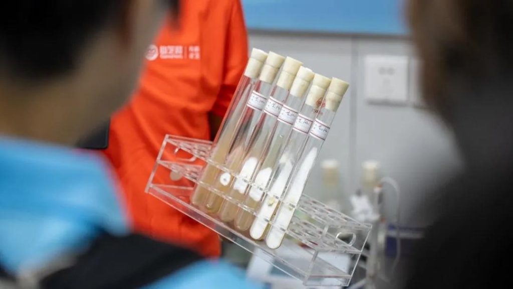 GanoHerb Strain Center in Pucheng