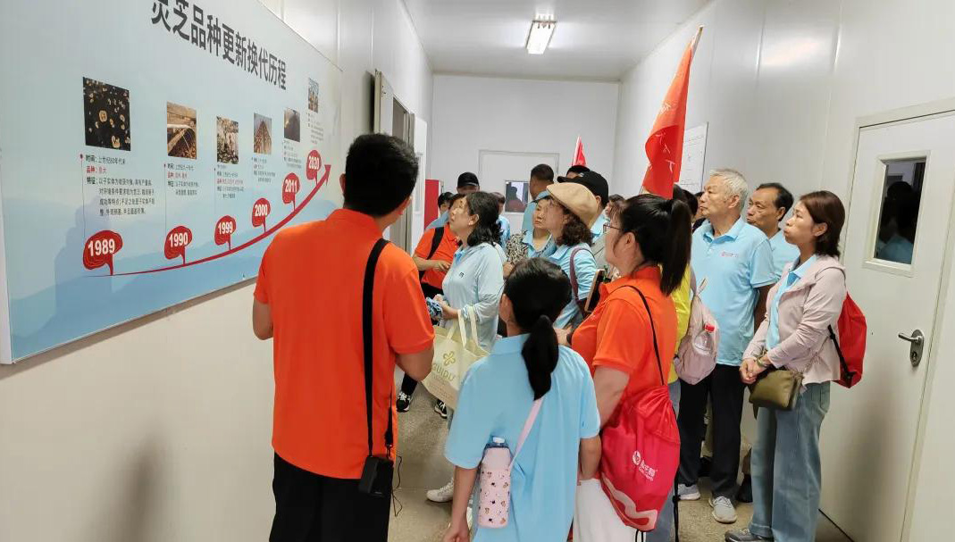 GanoHerb Strain Center in Pucheng-2