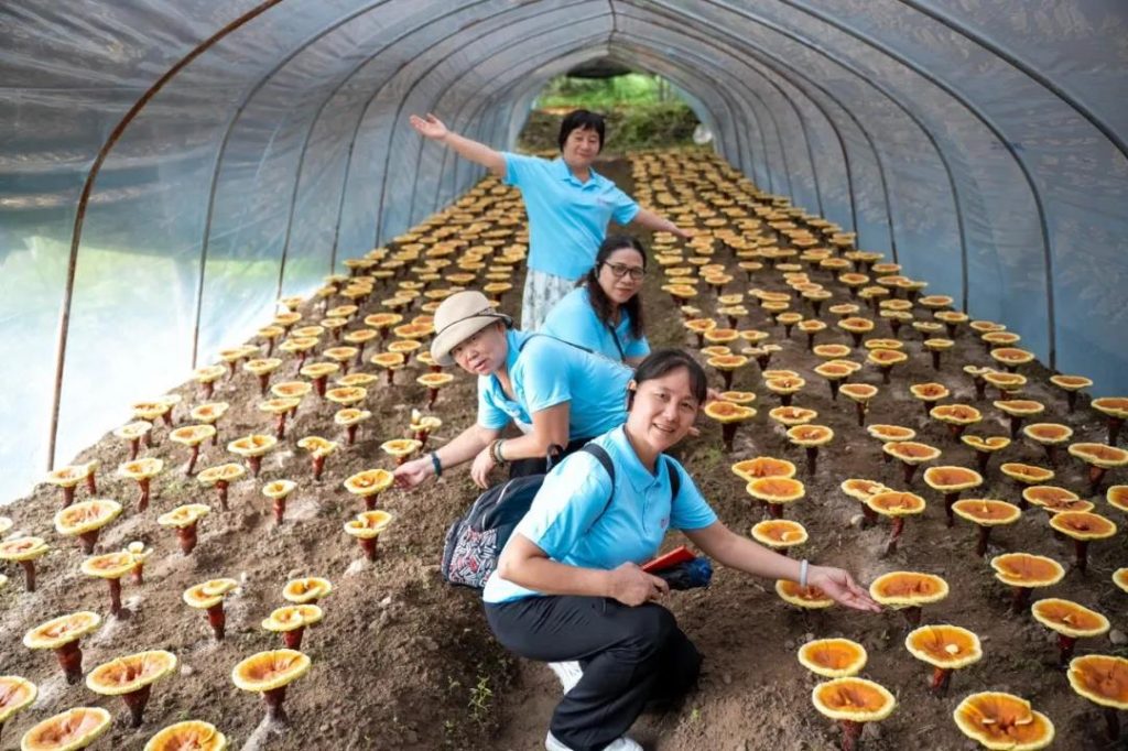 Participants observed the trimming process and took part in a hands-on cultivation experience - 3