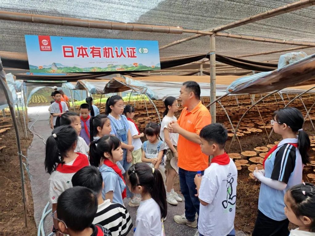 Visiting the GanoHerb Organic Reishi Mushroom Base