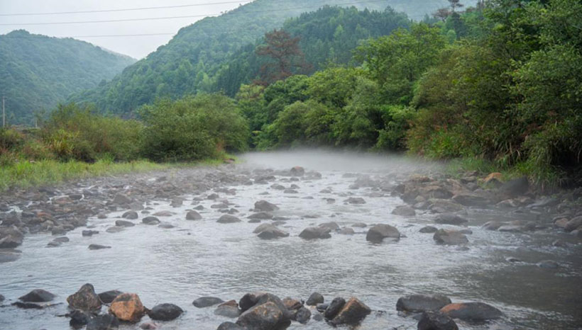 Visiting the Reishi Base in Wuyi Mountain-2