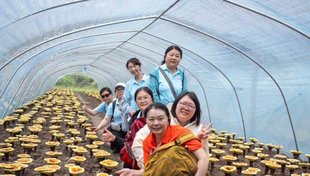 Visiting the Reishi Base in Wuyi Mountain-5